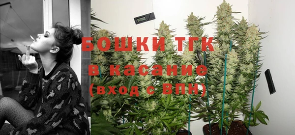 молекула духа Киреевск