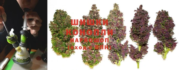 молекула духа Киреевск