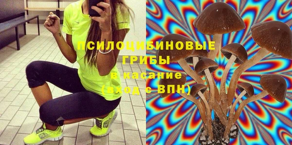 МДПВ Кинешма